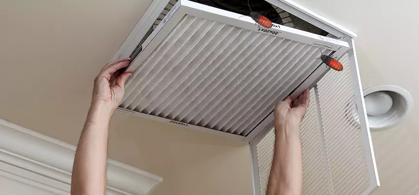 Preventive Cockroach-Proofing for Ducts in Lakeland