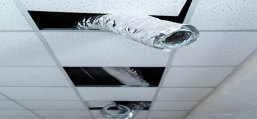 Affordable HVAC Sanitizing After Pest Removal in Lakeland