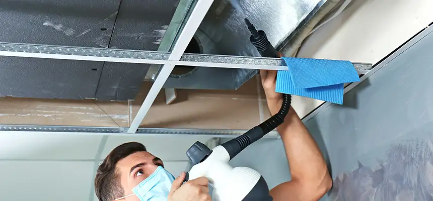 Our Air Duct Rodent Removal Services in Lakeland, FL