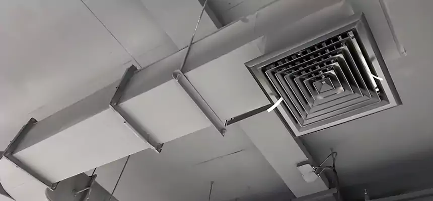 Restorative Allergy Relief Vent Cleaning – Coil, Blower & Housing Detail in Lakeland