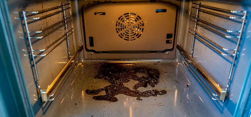 Our Dryer Vent Mold Cleaning Services in Lakeland, FL