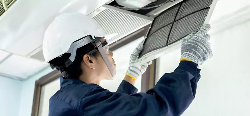 Our Mold & Mildew Removal from Air Ducts Services in Lakeland, FL