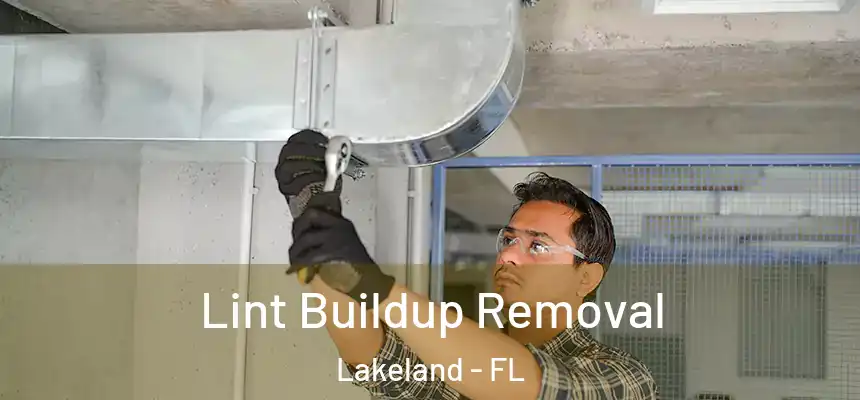 Lint Buildup Removal Lakeland - FL