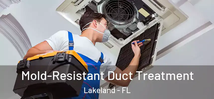  Mold-Resistant Duct Treatment Lakeland - FL