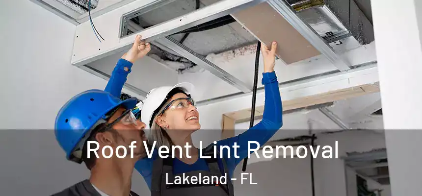  Roof Vent Lint Removal Lakeland - FL