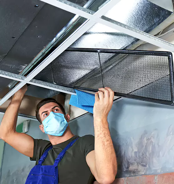 Professional Air Duct Pollen Cleaning in Lakeland, FL