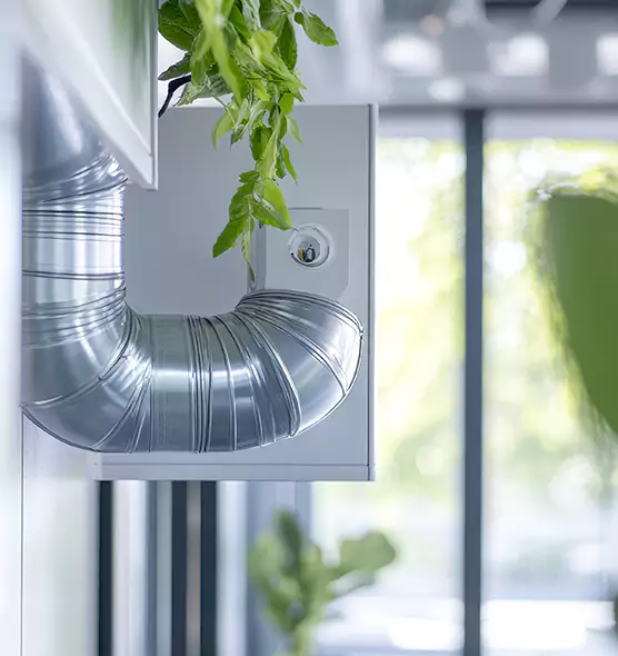 Professional Eco-Safe Dryer Vent Cleaning in Lakeland, FL