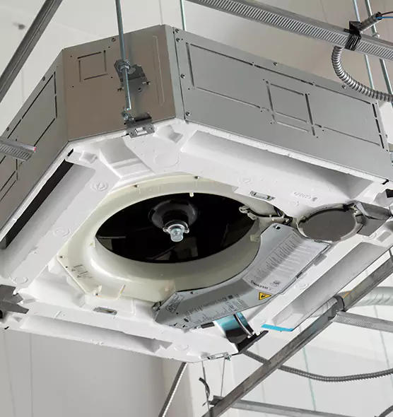 Professional Roof Vent Lint Removal Lakeland, FL