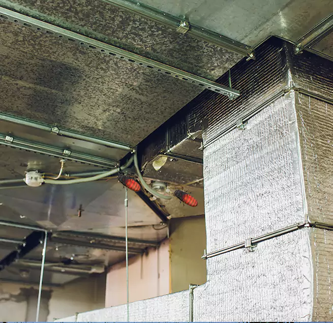 Why Homeowners & Businesses Trust Us in Lakeland, FL?