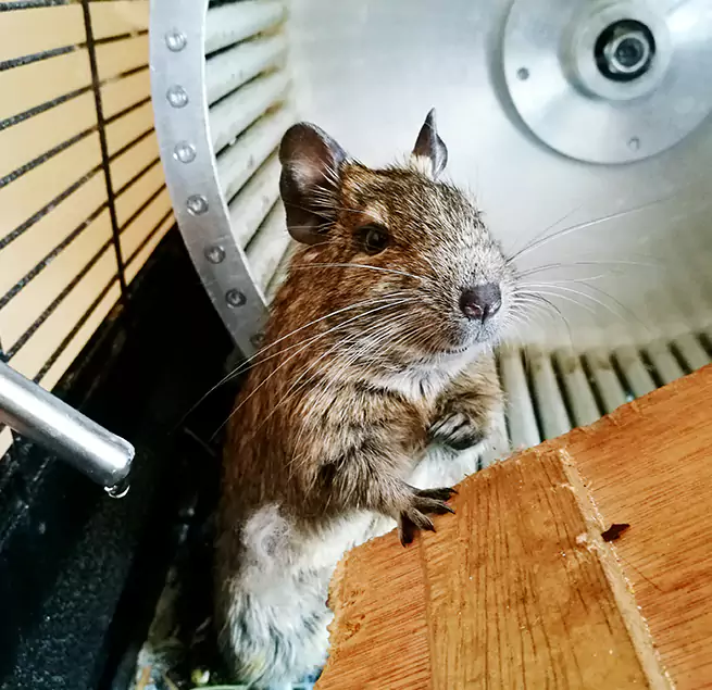 Why Homeowners & Businesses Trust Us Lakeland, FL?