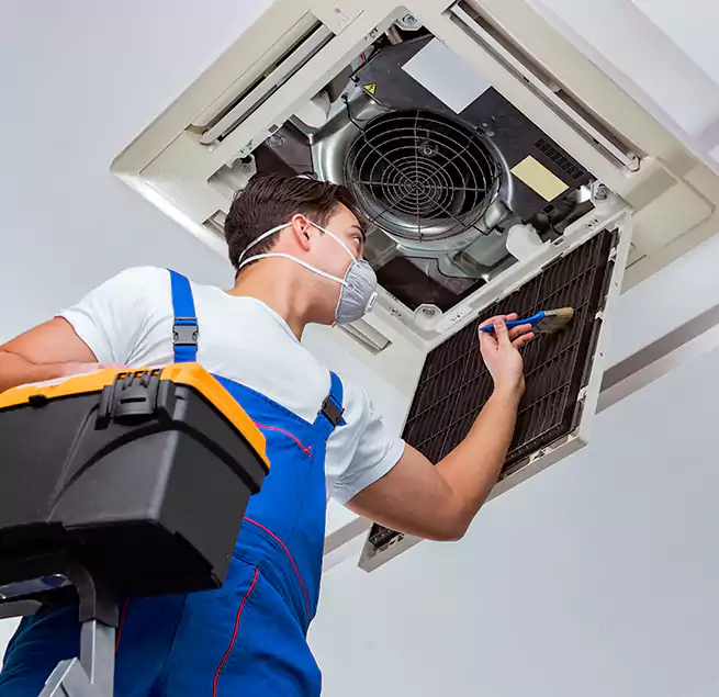 Why Homeowners & Businesses Trust Us in Lakeland, FL