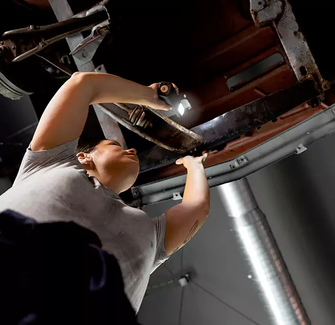 Why Homeowners & Businesses Trust Us Lakeland, FL