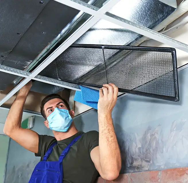 Why Homeowners & Businesses Trust Us in Lakeland, FL?